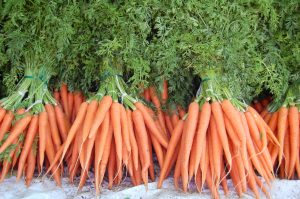 Морковная ботва — то, что кролику вкусно, человеку — полезно